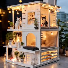 a cat sitting on top of a white doll house with lights around it and two cats in the window