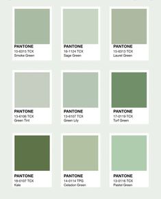 the pantone green color chart with all the shades in each section and their corresponding names