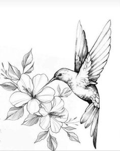 a drawing of a hummingbird flying over flowers