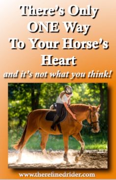 there's only one way to your horse's heart and it's not what you think