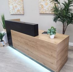 a wooden reception table with a plant on top