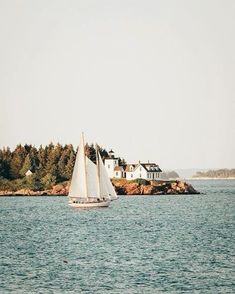 a sailboat in the water with houses in the background and trees on land behind it