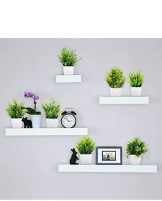 some white shelves with plants and a clock