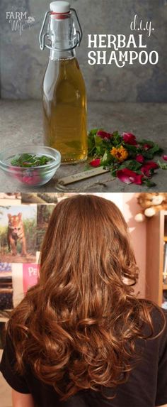 The Best Step By Step Tutorials For Homemade Hair Treatment For Damaged Hair - Homemade Herbal Shampoo - How To Repair Damaged Hair Fast With Simple And Easy Hair Products And DIY Remedies. Hair Treatment At Home For Hair Loss And Ideas And Tips And Tricks For How To Repair Damaged Hair. Try Coconut Oil, Apple Cider, And Some Other Simple Natural Treatments To Get Hair Care That Works And Keeps Your Hair Healthy and Shiny. https://thegoddess.com/home-remedies-for-damaged-hair Thick Hair Solutions, Herbal Shampoo, Thick Hair Remedies, Coconut Oil For Hair, Styles For Short Hair