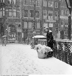 a person standing on a bridge in the snow next to a basket full of flowers