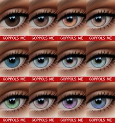 the different types of eyes are shown