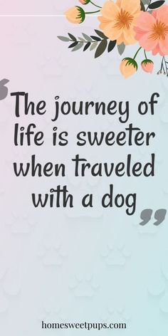 a quote about the journey of life is sweeter when traveled with a dog on it