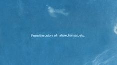 a blue book with the words from the colors of nature, human etc