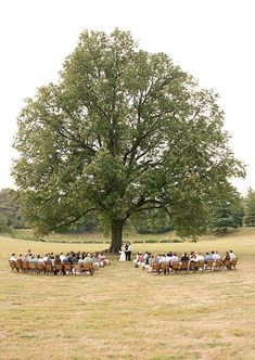 a large group of people sitting in chairs under a big tree on the side of a field