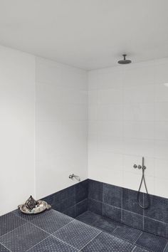 a bathroom with white walls and tile flooring, including a walk - in shower