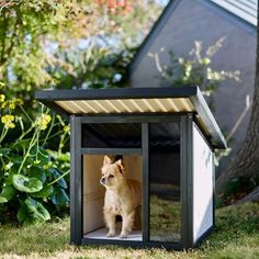 a small dog sitting in an outdoor pet house