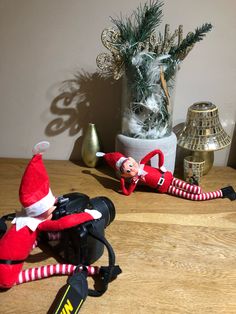 two elfs are sitting on the table next to a camera and a potted plant