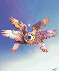 a bird flying in the air with its wings spread out and it's eyes open