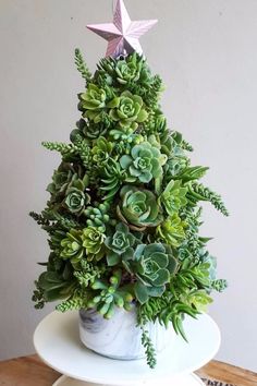 a potted plant with succulents and a star on top