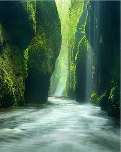 a narrow road surrounded by mossy rocks and trees with a waterfall coming out of the middle