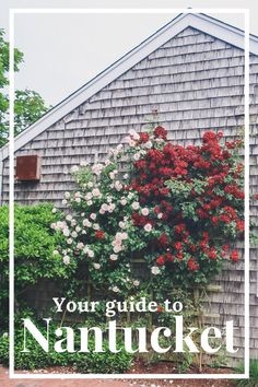 a house with flowers growing on it and the words, your guide to nantucked