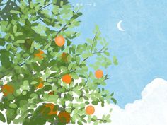 an orange tree with fruit on it and the moon in the sky