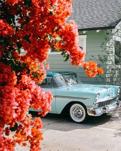 an old blue car parked in front of a house with red flowers on the tree