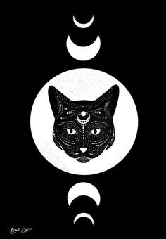 a black and white drawing of a cat's face with crescent moon phases in the background