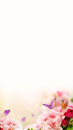 pink flowers and butterflies are in the foreground with an empty white space for text