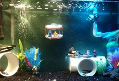 an aquarium filled with lots of different types of plants and animals in it's environment