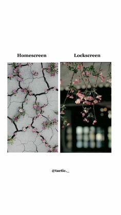 two pictures with flowers on them and the words,'homescreen lock screen '