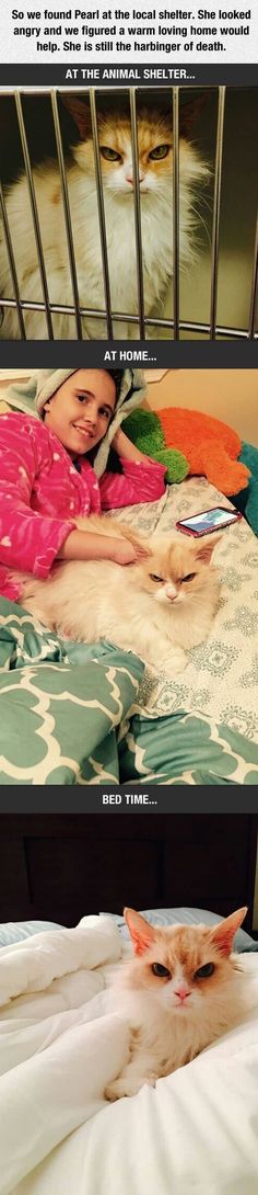 a cat laying on top of a bed next to a woman in a pink dress