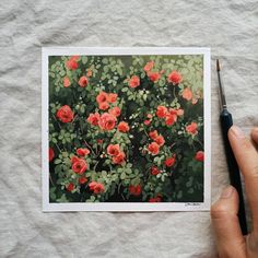 a person is holding a pen and drawing on paper with red flowers in the background