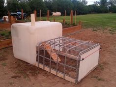 a cage that has some kind of animal in it on top of dirt and grass