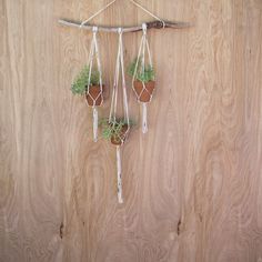 three potted plants hanging from hooks on a wooden wall