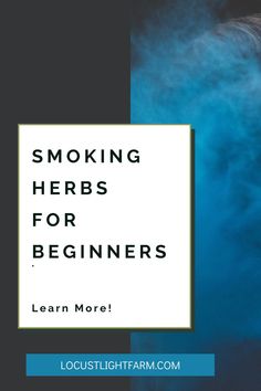 I INVITE YOU TO SMOKING HERBS FOR BEGINNERS Learn more about the comprehensive course that will teach you everything you need to know to become a badass, hip, and highly expert smoker of herbs. You will learn about smoking herbs. Learn about the benefits of smoking herbs. herbs and their uses | herbs for witchcraft Herbs For Beginners, Herbs For Witchcraft, Herbs And Their Uses, Herb Recipes, Herbal Healing, Witch Books, Healing Herbs, Natural Herbs