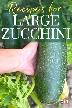 a cucumber being held up by someone's hand with the words recipe for large zucchini on it