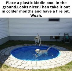 two dogs playing in a pool with the caption that reads, this is a little kiddie pool with water in the shade you take it when it gets cold out