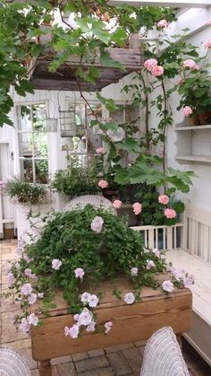 some pink flowers are growing in a potted planter on a wooden bench outside