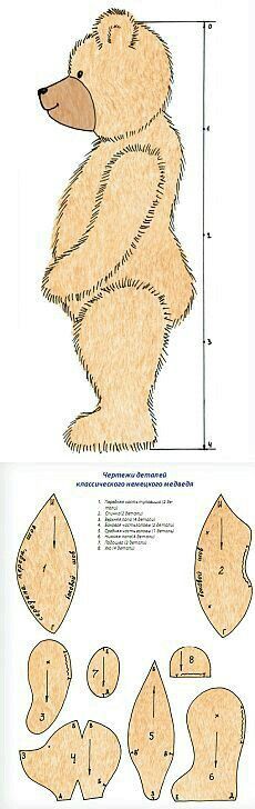 a drawing of a teddy bear sitting on its hind legs with measurements for it's body