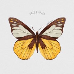 a yellow and brown butterfly sitting on top of a white surface with the words vicci luna written above it