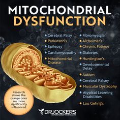 Cellular Healing, Chemicals In The Brain, Brain Bleed Symptoms, Brain Chemicals Mental Health, Mitochondrial Myopathy, Mitochondrial Health, Brain Health Supplements, Hyperbaric Oxygen Therapy, Right Brain