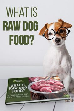 a dog wearing glasses sitting on top of a book with food in front of it