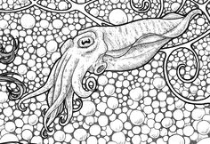 an octopus swimming in the ocean surrounded by bubbles and swirls, coloring book page