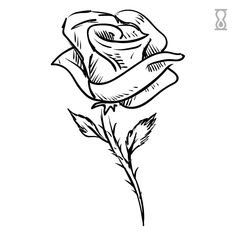 Rose Semi-Permanent Tattoo 1.5 in x 2 in Two Roses, Petite Tattoos, Realistic Tattoo, Temp Tattoo, Rose Drawing, Rose Stem, Floral Drawing, Real Tattoo