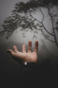 a person's hand reaching up into the air with trees in the background on a foggy day