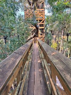 an old wooden bridge that is surrounded by trees