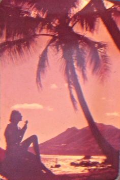 a woman sitting under a palm tree next to the ocean with a cell phone in her hand