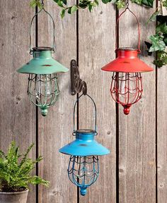 three different colored lights hanging from a wooden fence next to a potted green plant