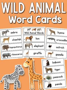 wild animal word cards with zebras, giraffe and other animals on them