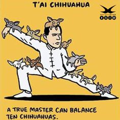 an image of a cartoon character doing tai - chiu with cats on his feet