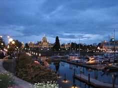 boats are docked in the water at night near a city with tall buildings and lit up street lamps