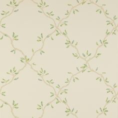 a wallpaper with green leaves and vines on white paper, as well as a beige background