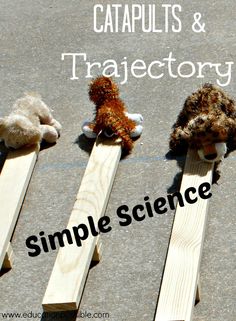 three stuffed animals sitting on top of wooden posts with caption that reads, catapults & trajectory simple science