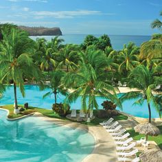 an outdoor swimming pool surrounded by palm trees and lawn chairs with the ocean in the background